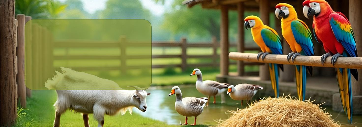 Adorable Exotic Pets for Your Home