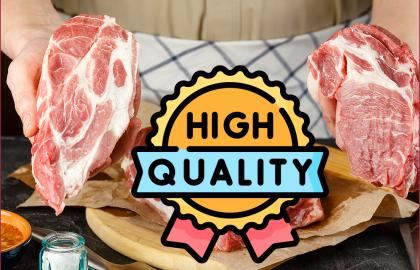 Quality Foods Requirements For Every Human Body’s