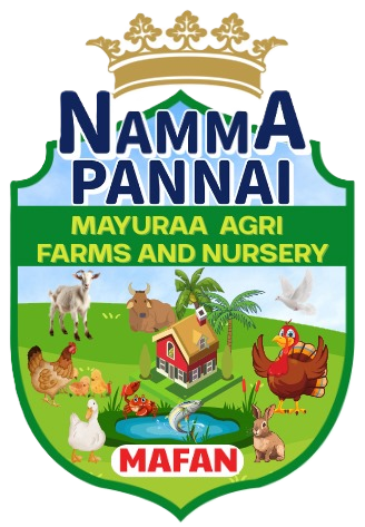 Nammapannai - Online Meat and seafood selling company